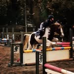 Scarlett Heller - @indianponyequestrian - Instagram