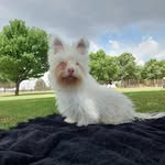 Scarlett Hess - @scarletthess2023 - Instagram