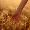 Scarlett Mitchell - @user544556718360 - TikTok