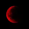 _scarlett_moon__ - @_scarlett_moon__ - TikTok
