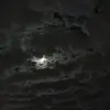 Scarlett Moon - @animallover4900 - TikTok