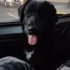 Scarlett Mora - @scarlett.mora16 - TikTok