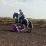 Scarlett Darcee Murray - Facebook