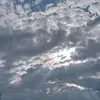Scarlett Murray - @scarlett.murray - TikTok