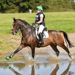 Scarlett Parker Eventing - @scarlett_paaarker - Instagram