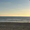 Scarlett Pearson - @scarlett.pearson4 - TikTok