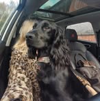 Scarlett Pearson - Facebook