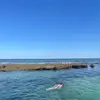 Scarlett - @scarlett.rossss - TikTok
