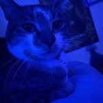 Scarlett Rowe - @youmust.1248 - Instagram