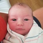 Scarlett Rowe Flowers - @sroweflowers - Instagram