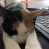 Scarlett - @scarlett25060 - TikTok