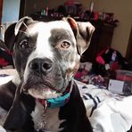 Scarlett Strong - Facebook