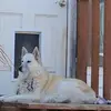 Scarlett Wall Miller - @scarlett.wall.mil - TikTok