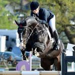 Scarlett Ward - @scarlettwardstables - Instagram