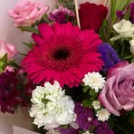 Scarlett Ward - Facebook