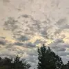 Scarlet Weaver - @scarlet.weaver - TikTok