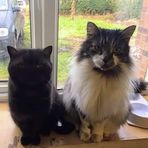Scarlett Webb - Facebook