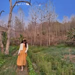 Scarlett Yang - @meng_xin_yang - Instagram