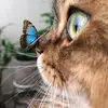 scarlett.silver - @scarlett.silver2 - TikTok