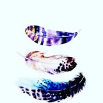 schalk steyn - @schalksteyn2003 - Instagram