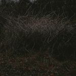 schuyler bates - @latetothefunction - Instagram