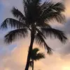 smithschuylerIDAHO - @smithschuyler_30_ - TikTok