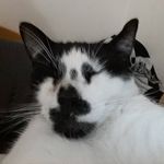 schuyler williamson - @will_84_schuyler - Instagram