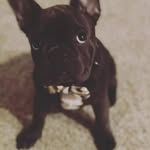 scott ryan - @scot.ryan01 - Instagram