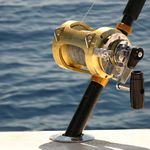 Scott Richard Abrahamson - @tucorazonsportfishing - Instagram