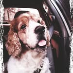 Scott Acevedo - @_scott_acevedo_ - Instagram