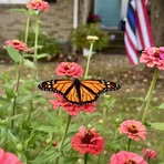 Sarah Scott Achenbach - Facebook