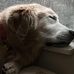 Scott Acker - Facebook