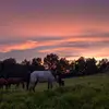 All praise to the most high - @scott.ackley - TikTok