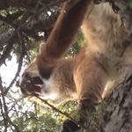 Scott Adler - @scott.adler.5076 - Instagram