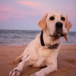 Scott Aiken - @aiken199 - Instagram