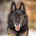 Scott Aikman - Facebook