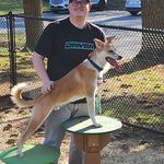 Alexander Scott Alleman - @alleman_94 - Instagram
