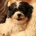 Scott Almquist - Facebook