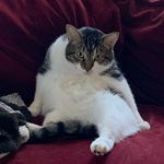 Scotty Almquist - @scotty_almquist - Instagram