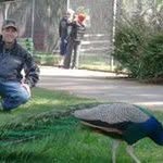 Scott Alward - @scott.alward - Instagram