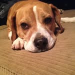 Scott Alwine - @alwine.scott - Instagram