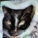 Scott Amend - @scott.amend.56 - Instagram