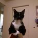 Scott Amend - Facebook