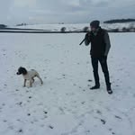 Scott Anderton - @andertonscott - Instagram