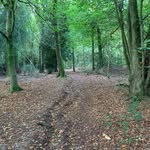 Scott Anderton - @anderton6083 - Instagram