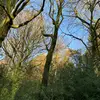 scottanderton308 - @scottanderton308 - TikTok