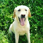 Scott_andrade - @scottandrade123 - Instagram