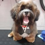 Scott Andrade Silva - @scottsilva36 - Instagram