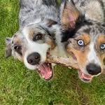 Scott N Tracey Apple - @scott_apple291_ - Instagram