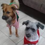 SCOTT_ARGOS - @scott_argos - Instagram